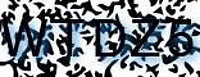 grafischer Sicherheitscode