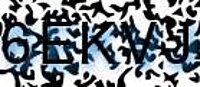grafischer Sicherheitscode