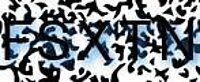 grafischer Sicherheitscode